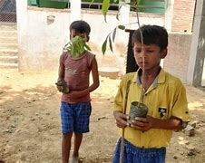 Volunteers planting saplings together, smiling and working as a team, lush green background