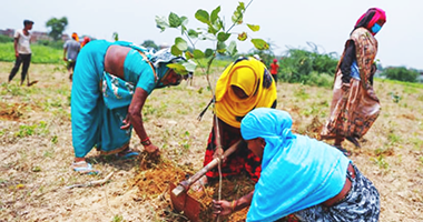 Close-up of hands gently placing a young plant in the soil, fine hand writing style caption overlay: 'Planting Hope'